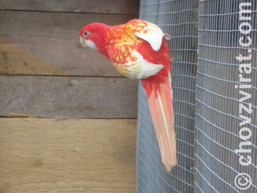 sejcek2.jpg